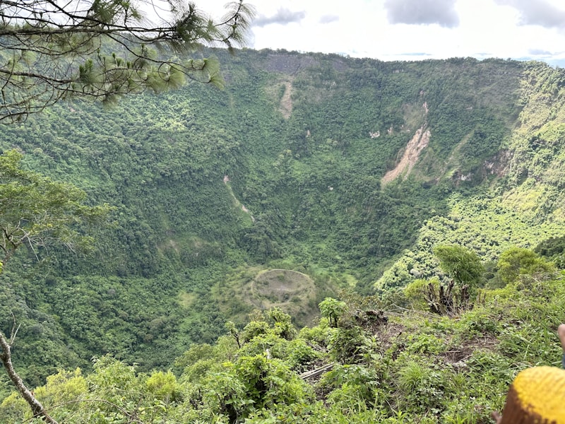 Waipi'o Valley lookout with lush green cliffs