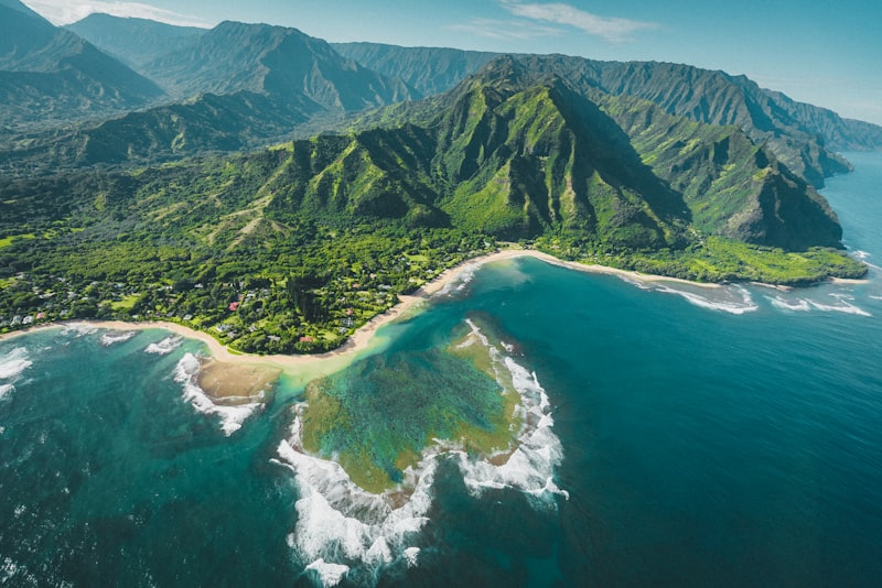 North Shore waves and palm trees overlooking the ocean
