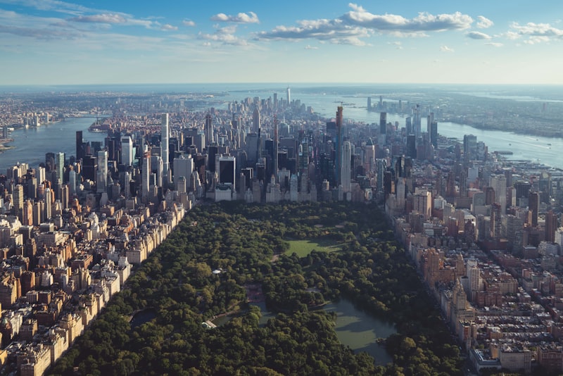 Central Park autumn foliage with Manhattan skyline in background