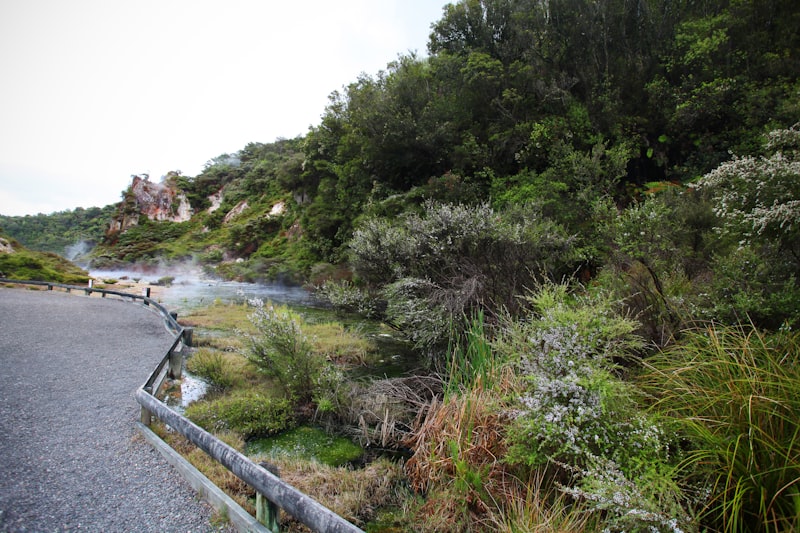 Rotorua geothermal steam rising over green landscape