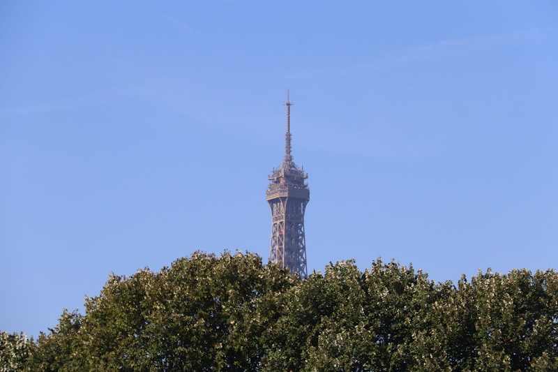 Eiffel Tower from Champ de Mars Paris