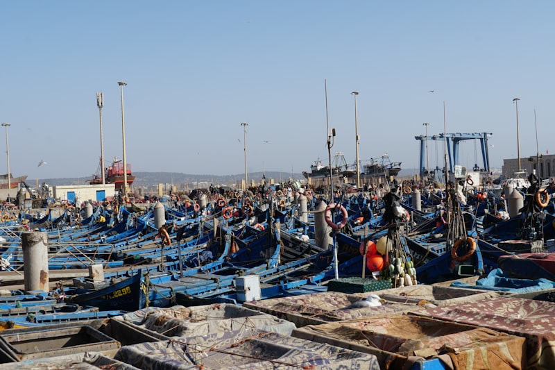 Essaouira harbor with blue fishing boats and historic ramparts